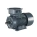Асинхронный двигатель Prompower 1LE9, 75 кВт, 3000 об/мин, 380/660 В, 1LE90032DA033AB4