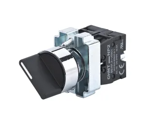 Переключатель NP2-BD33, 3 положения фиксацией, 2НО, IP40 573982
